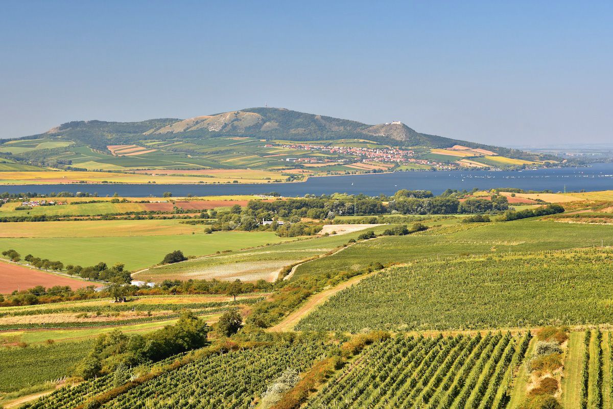 Pálava a Novomlýnské nádrže